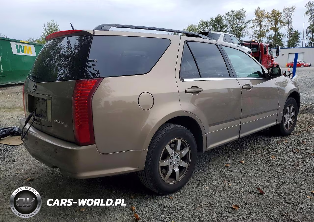 2008 Cadillac Srx VIN:1GYEE637780104302 - 3