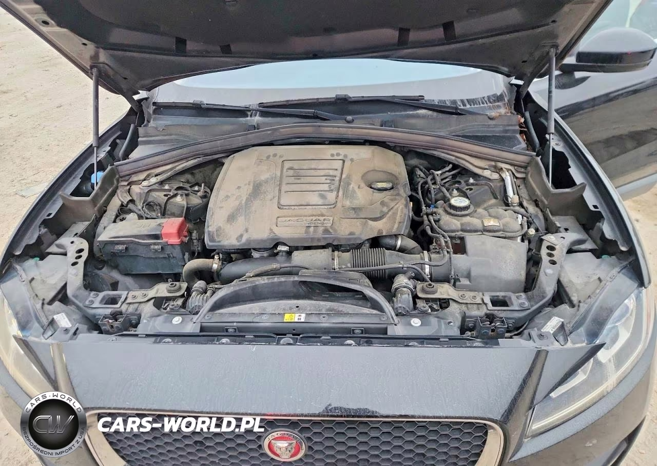 2019 Jaguar F-Pace Premium VIN:SADCJ2FX8KA365005 - 12