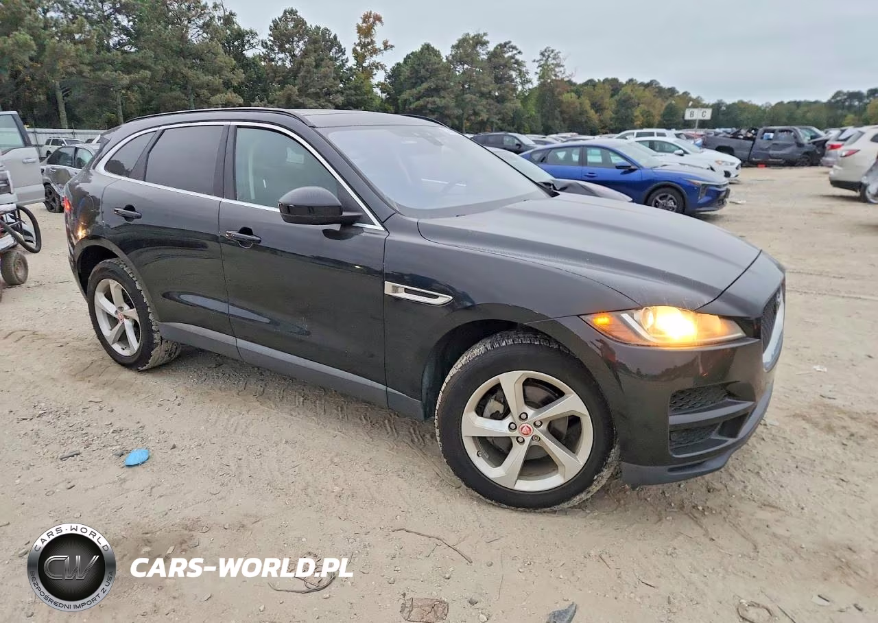 2019 Jaguar F-Pace Premium VIN:SADCJ2FX8KA365005 - 4
