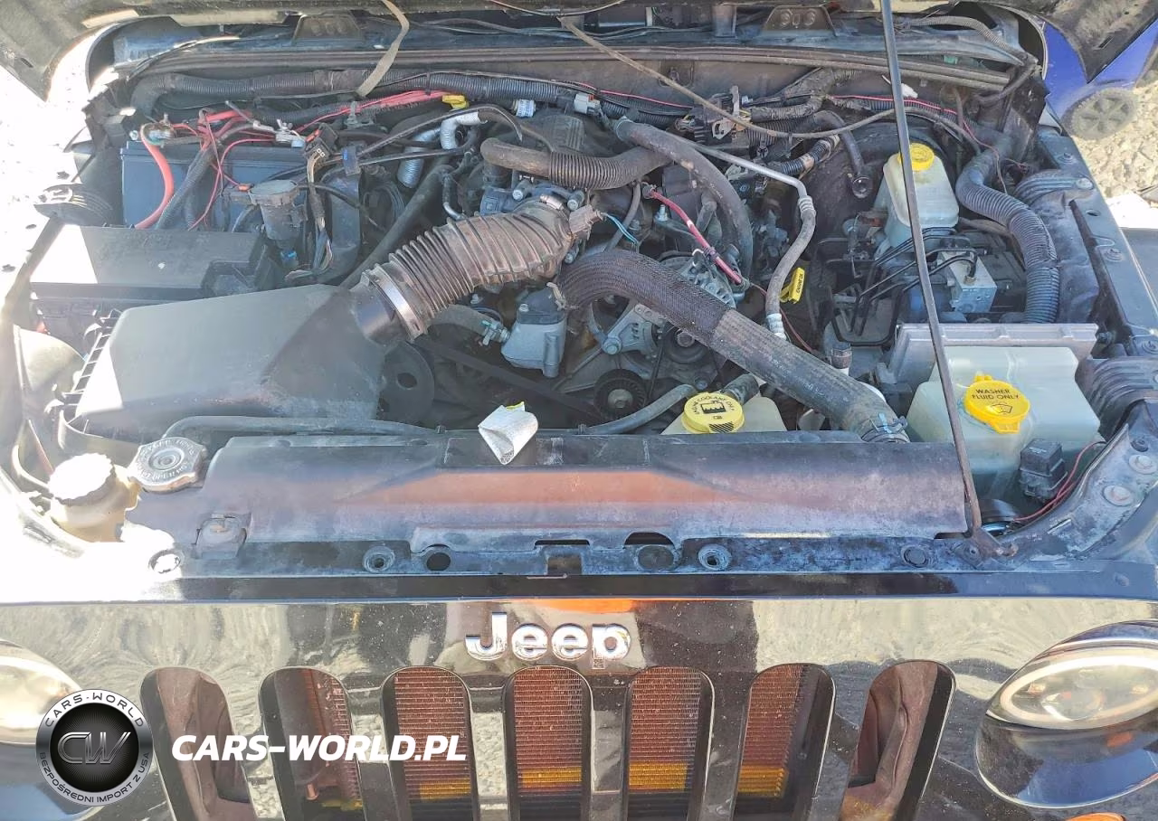 2007 Jeep Wrangler Rubicon VIN:1J4GA64177L120267 - 11