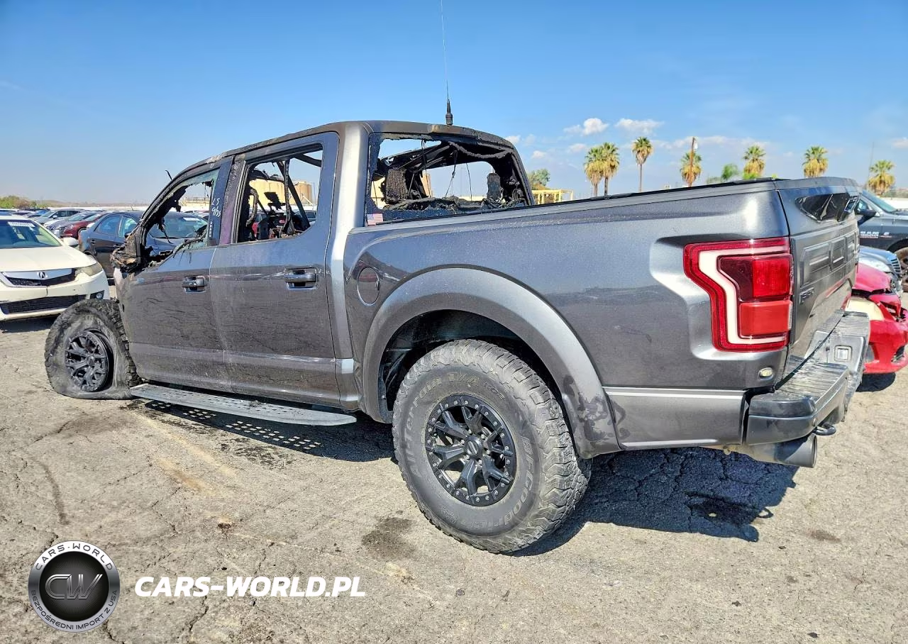 2018 Ford F150 Raptor VIN:1FTFW1RGXJFE17946 - 2