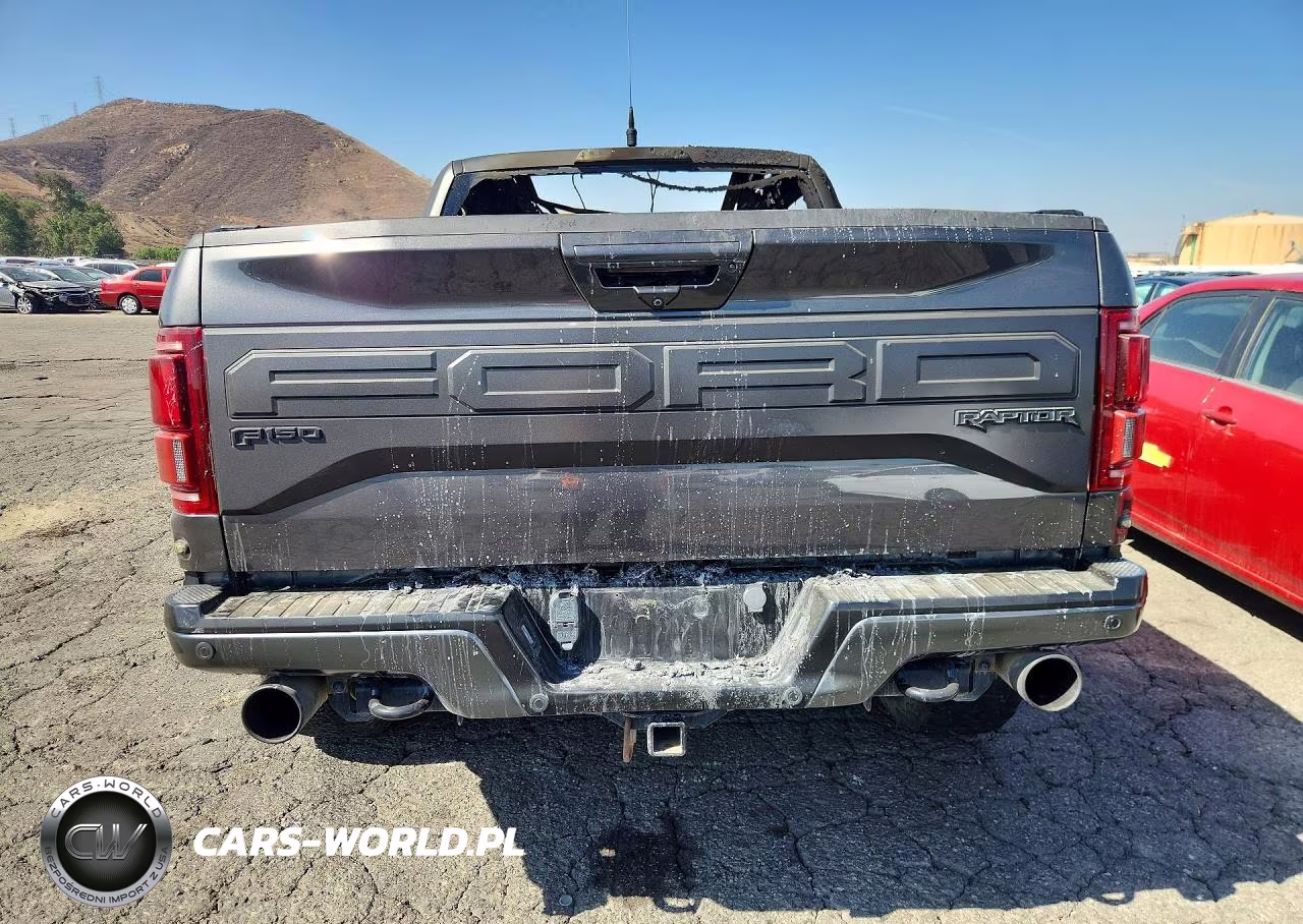 2018 Ford F150 Raptor VIN:1FTFW1RGXJFE17946 - 6