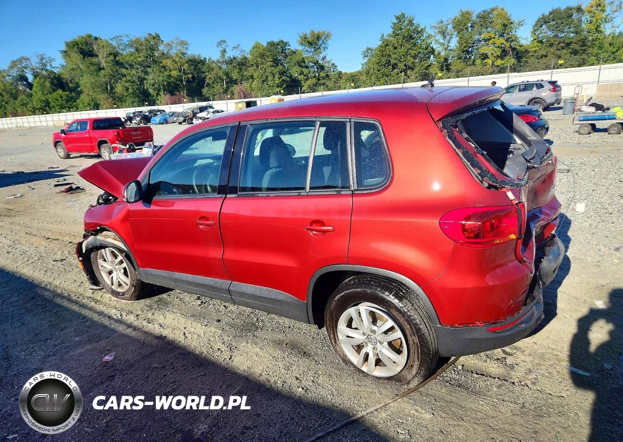 2014 Volkswagen Tiguan S VIN:WVGAV3AX7EW117741 - 2