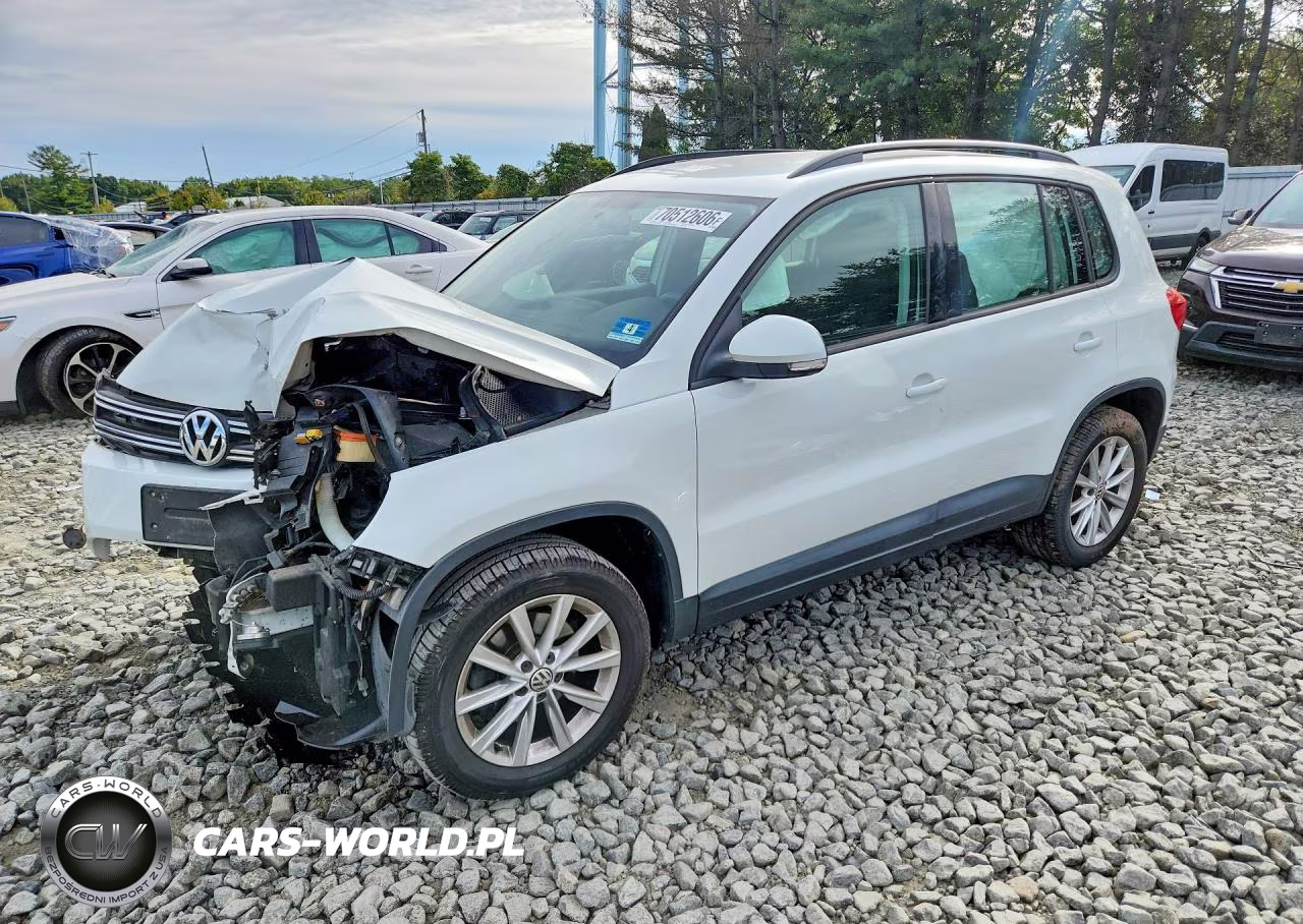 2017 Volkswagen Tiguan S VIN:WVGBV7AX8HK053829 - 1