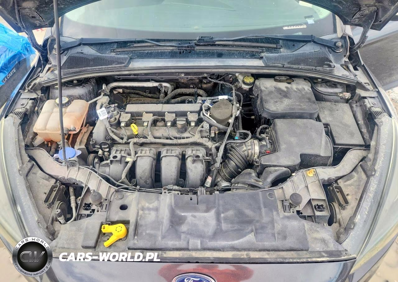 2016 Ford Focus Titanium VIN:1FADP3N21GL221520 - 11