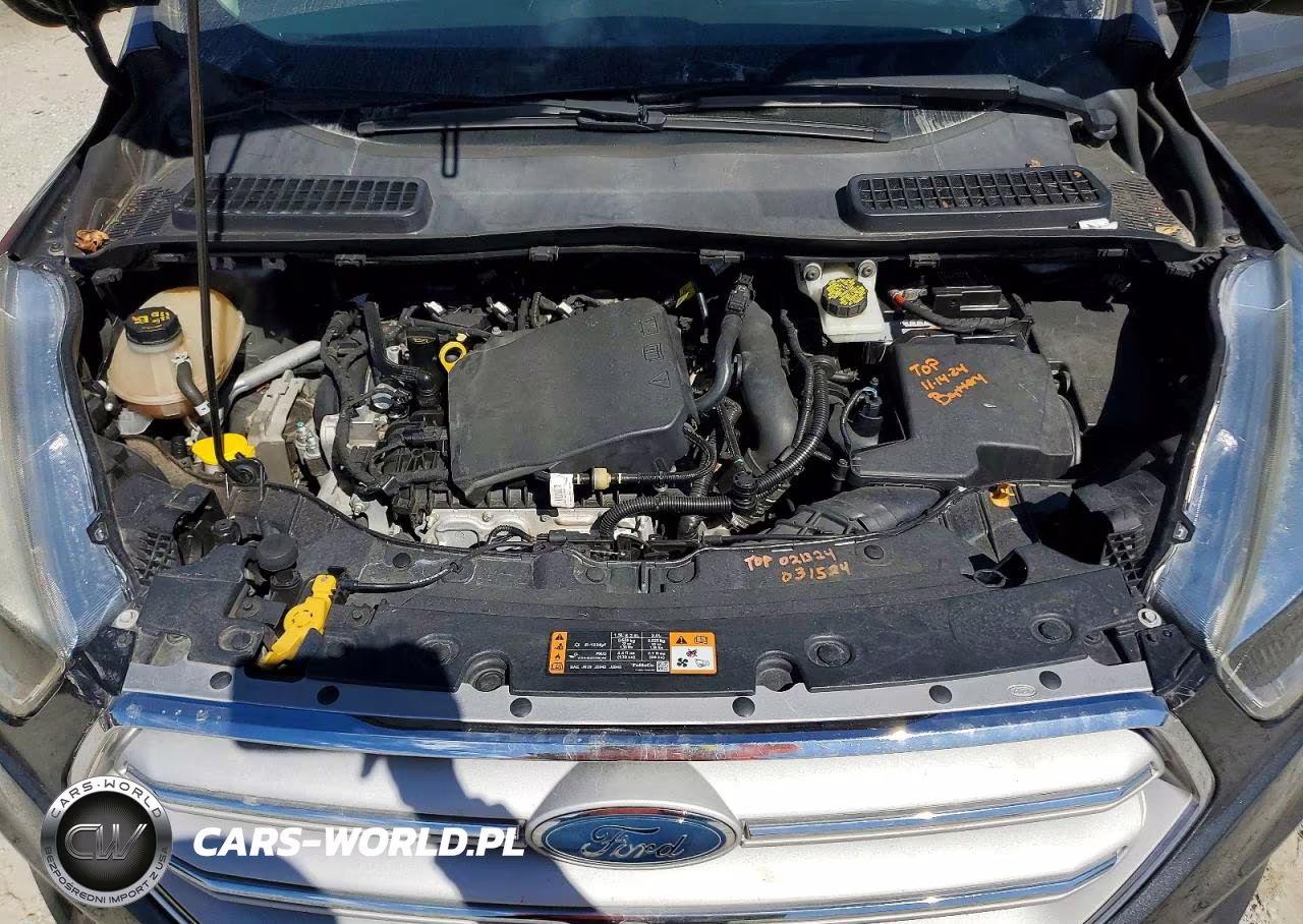 2019 Ford Escape Se VIN:1FMCU0GD3KUA02312 - 12