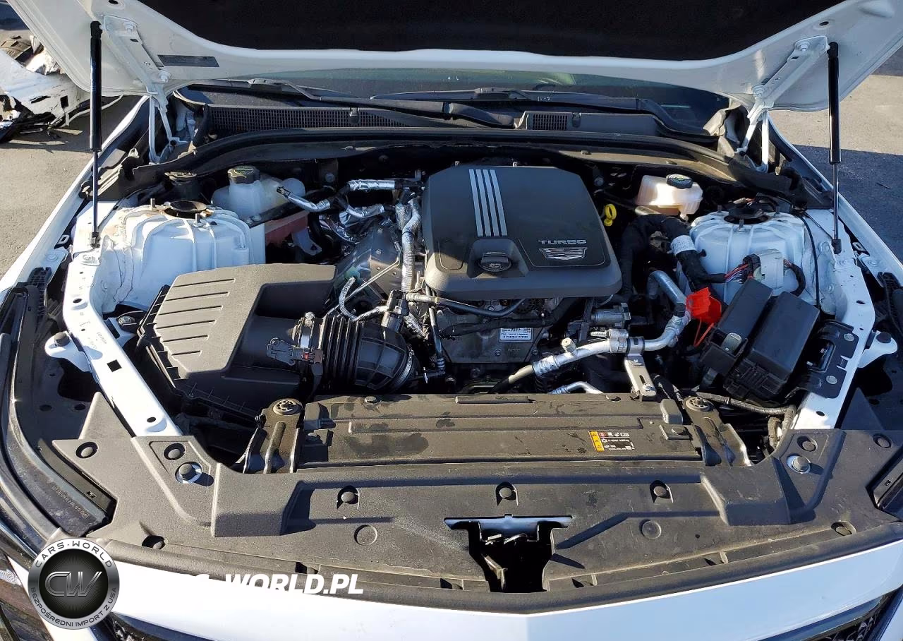 2025 Cadillac Ct5 Sport VIN:1G6DP5RK3S0118855 - 11