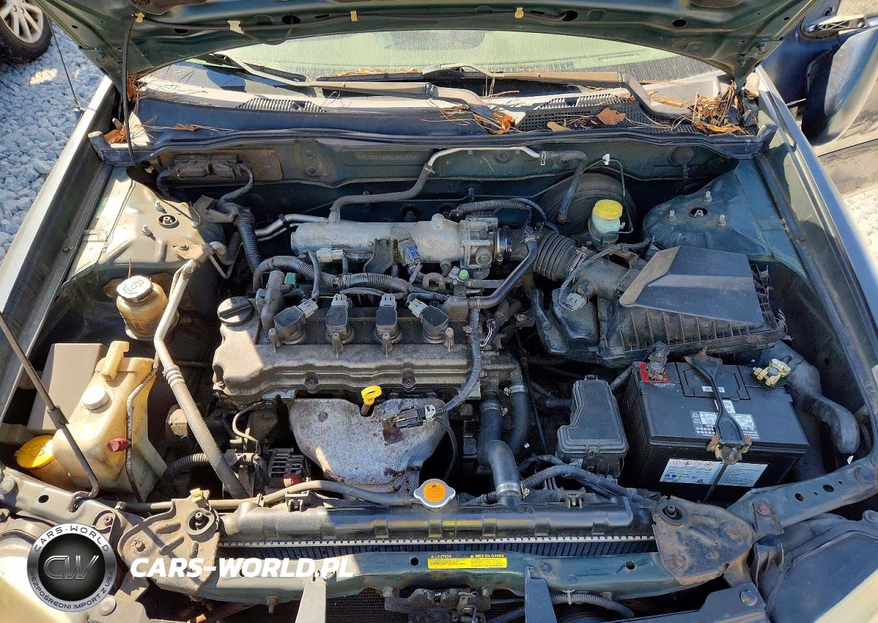 2004 Nissan Sentra 1.8 VIN:3N1CB51D64L837854 - 11