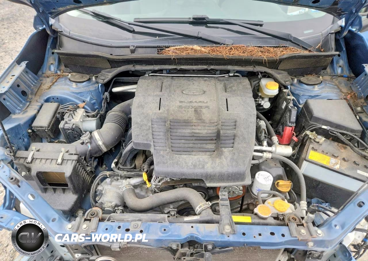 2019 Subaru Forester Premium VIN:JF2SKAGC2KH559662 - 11