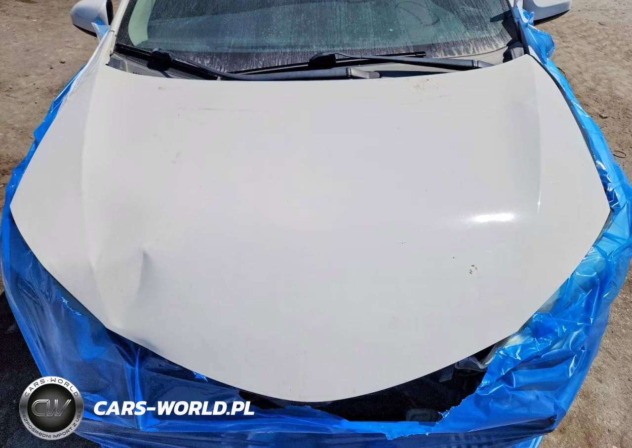 2016 Toyota Corolla Le VIN:5YFBURHE1GP459670 - 11