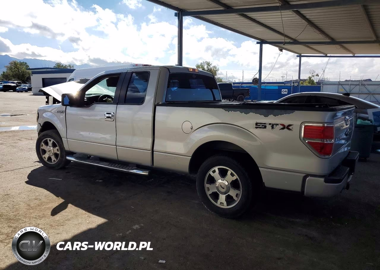 2009 Ford F150 Super Cab VIN:1FTRX128X9KB43809 - 2