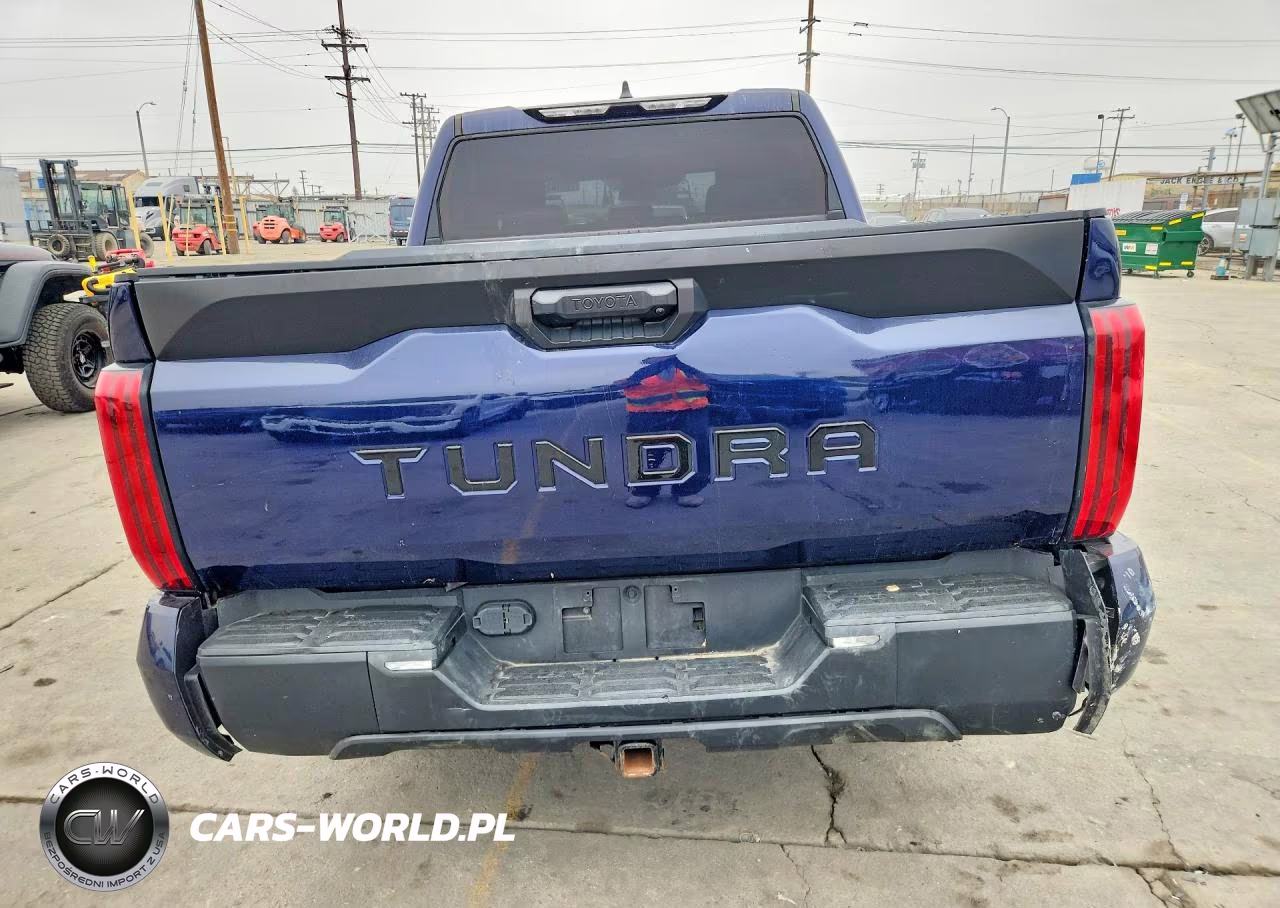 2022 Toyota Tundra Sr5 VIN:5TFLA5ABXNX014168 - 6