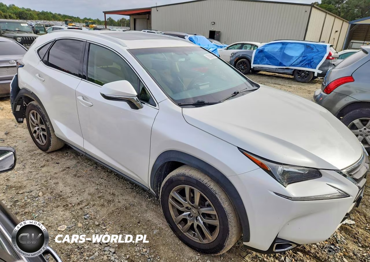 2016 Lexus Nx 200T Base VIN:JTJYARBZ3G2024496 - 4