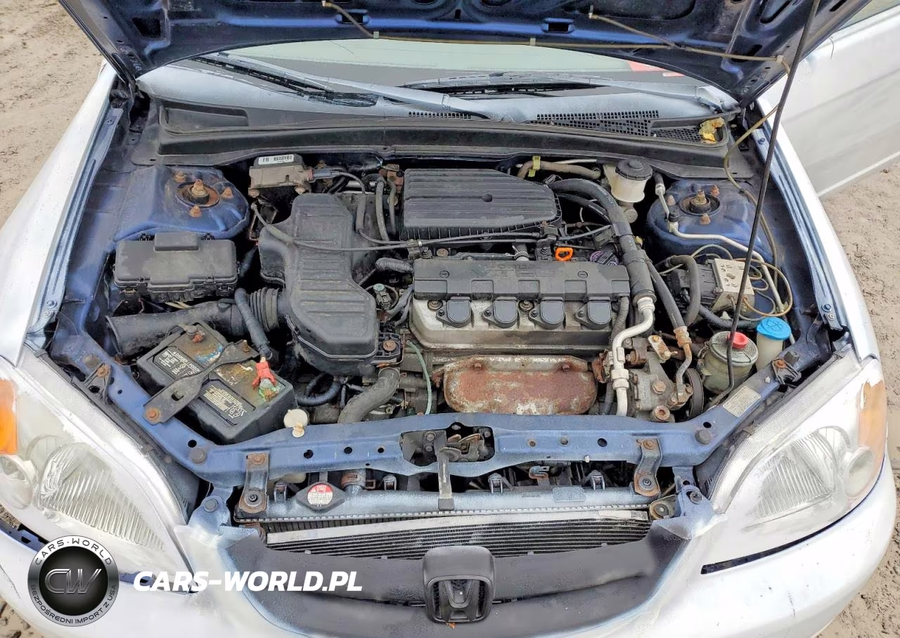 2002 Honda Civic Ex VIN:1HGEM22922L081801 - 11
