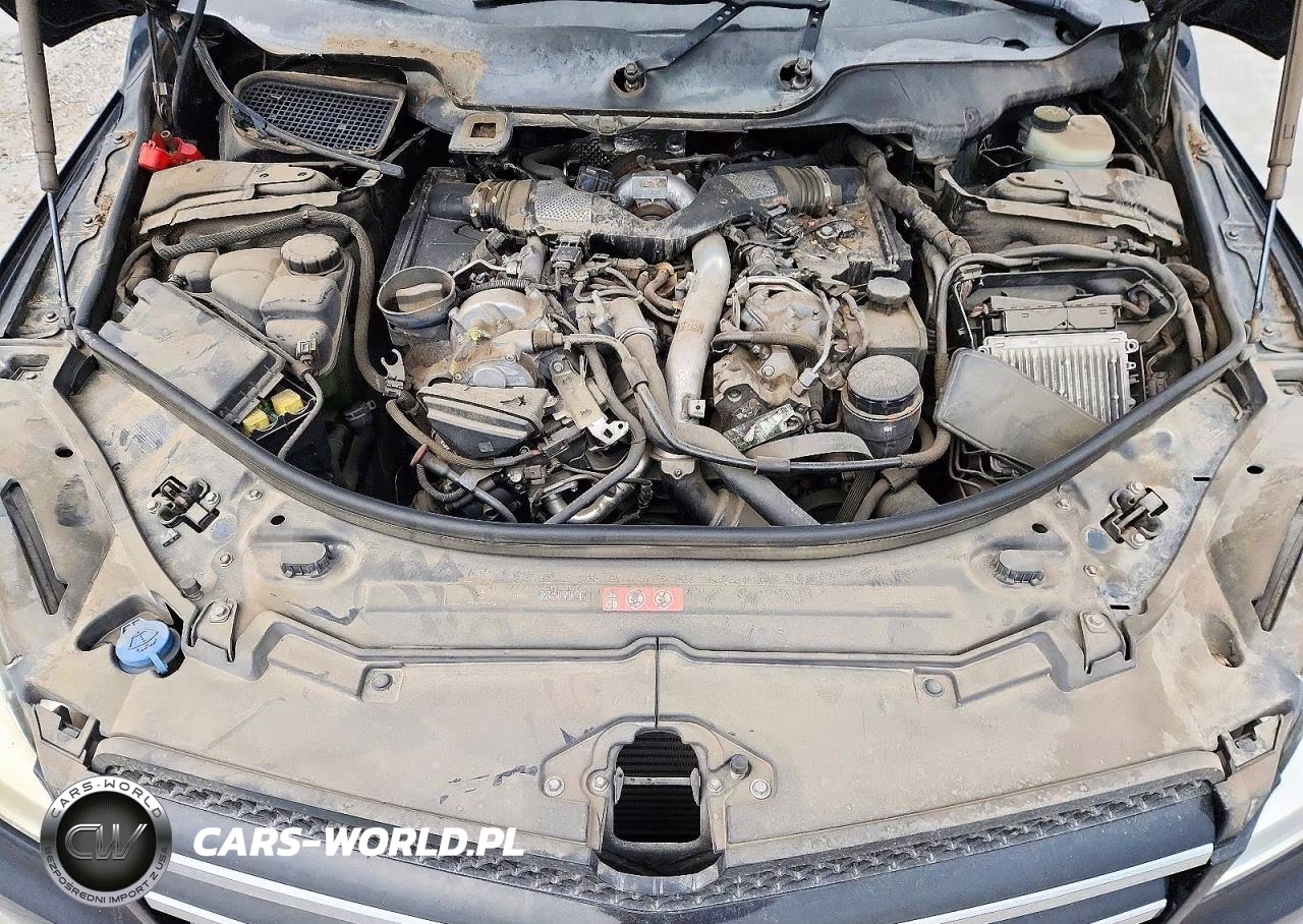 2011 Mercedes-Benz R 350 Bluetec VIN:4JGCB2FE4BA119958 - 12