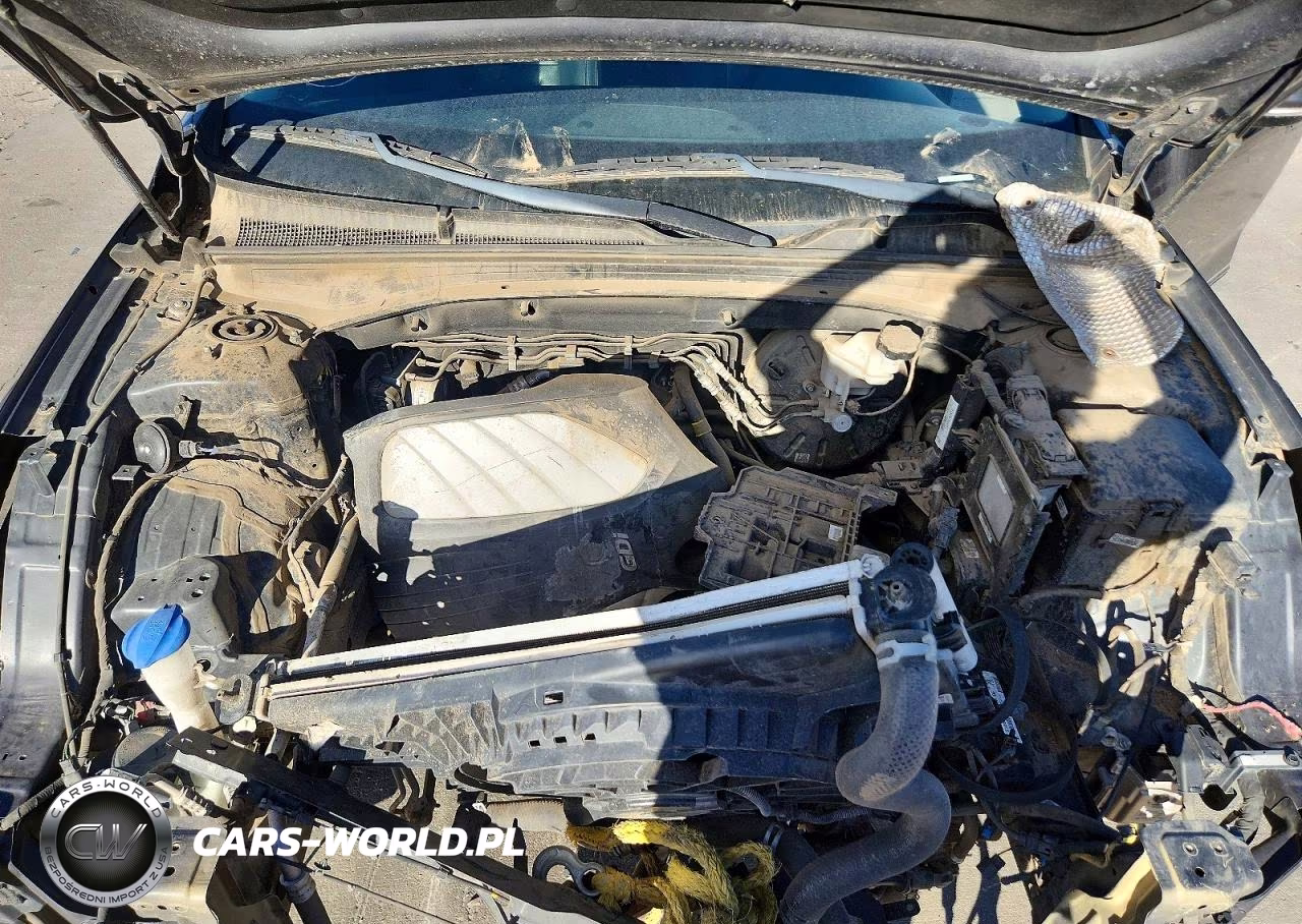 2018 Kia Cadenza Premium VIN:KNALC4J16J5101290 - 11