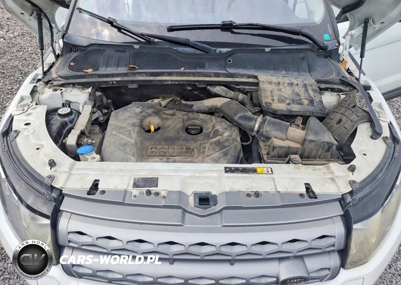 2013 Land Rover Range Rover Evoque Pure Premium VIN:SALVR2BG9DH820675 - 12