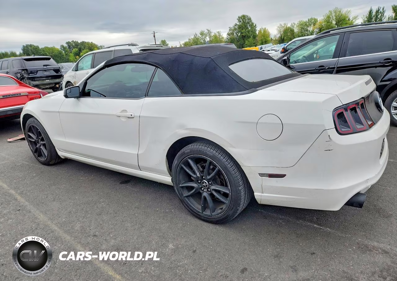 2013 Ford Mustang VIN:1ZVBP8EM1D5224656 - 2