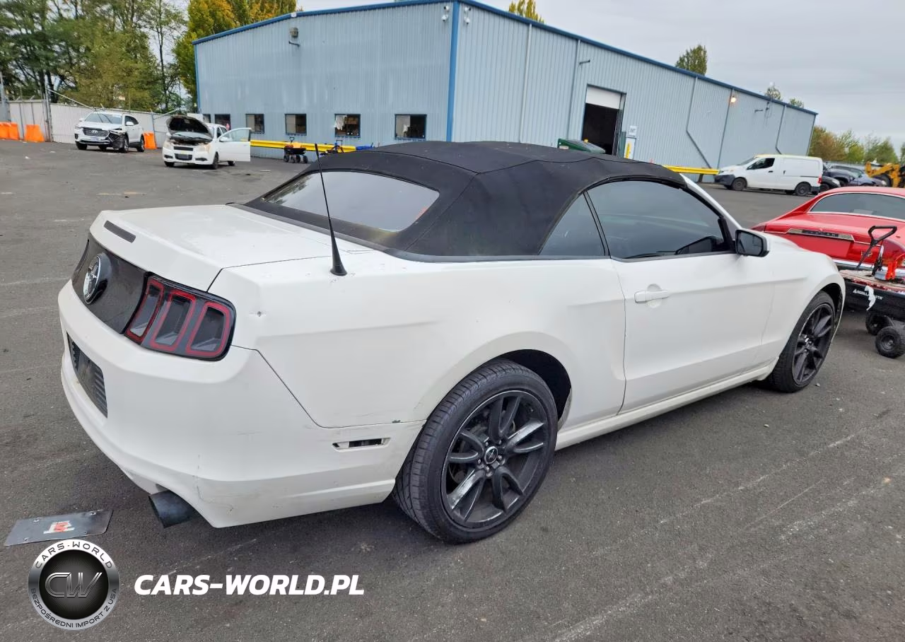 2013 Ford Mustang VIN:1ZVBP8EM1D5224656 - 3