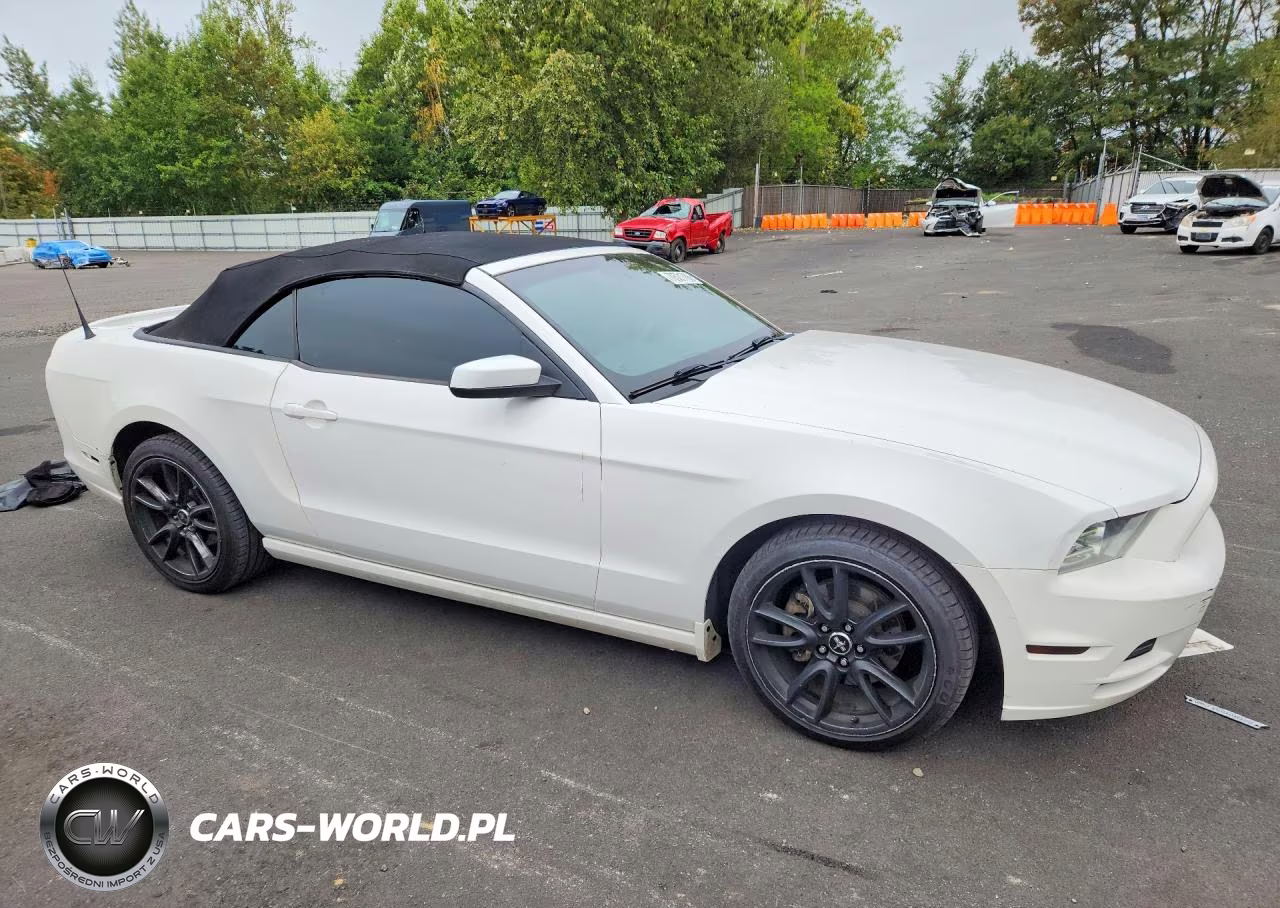 2013 Ford Mustang VIN:1ZVBP8EM1D5224656 - 4