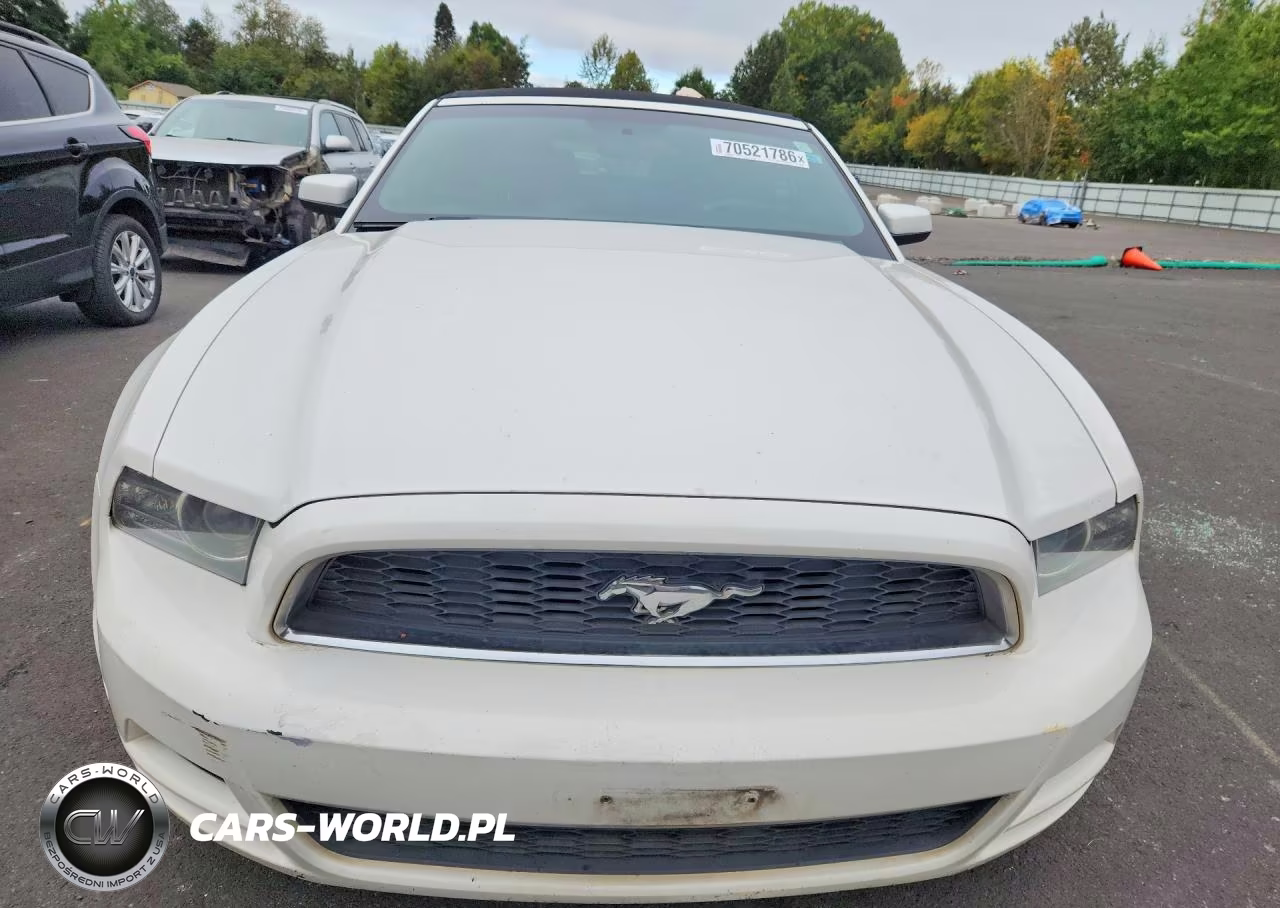 2013 Ford Mustang VIN:1ZVBP8EM1D5224656 - 5