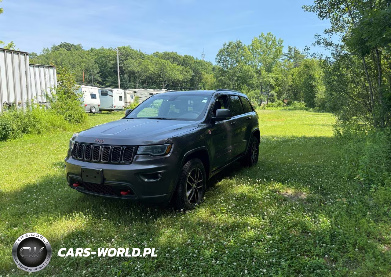 2018 Jeep Grand Cherokee Trailhawk VIN:1C4RJFLGXJC300287 - 2