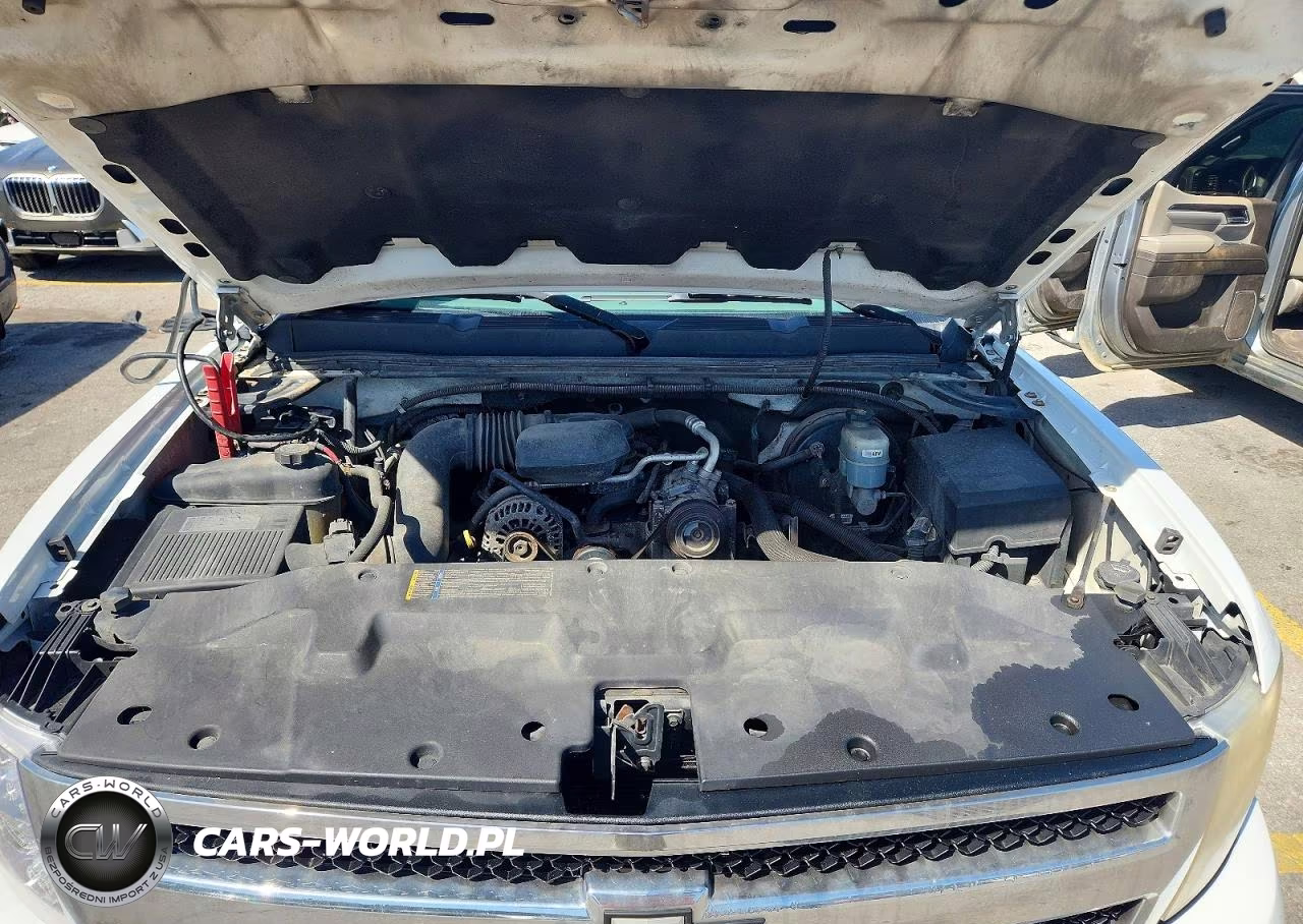 2010 Chevrolet Silverado C1500 VIN:1GCSCPEX6AZ181519 - 11