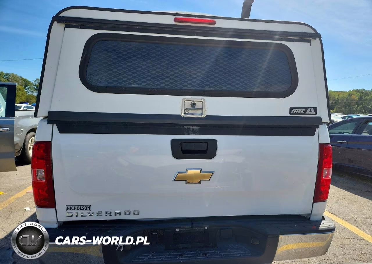 2010 Chevrolet Silverado C1500 VIN:1GCSCPEX6AZ181519 - 6