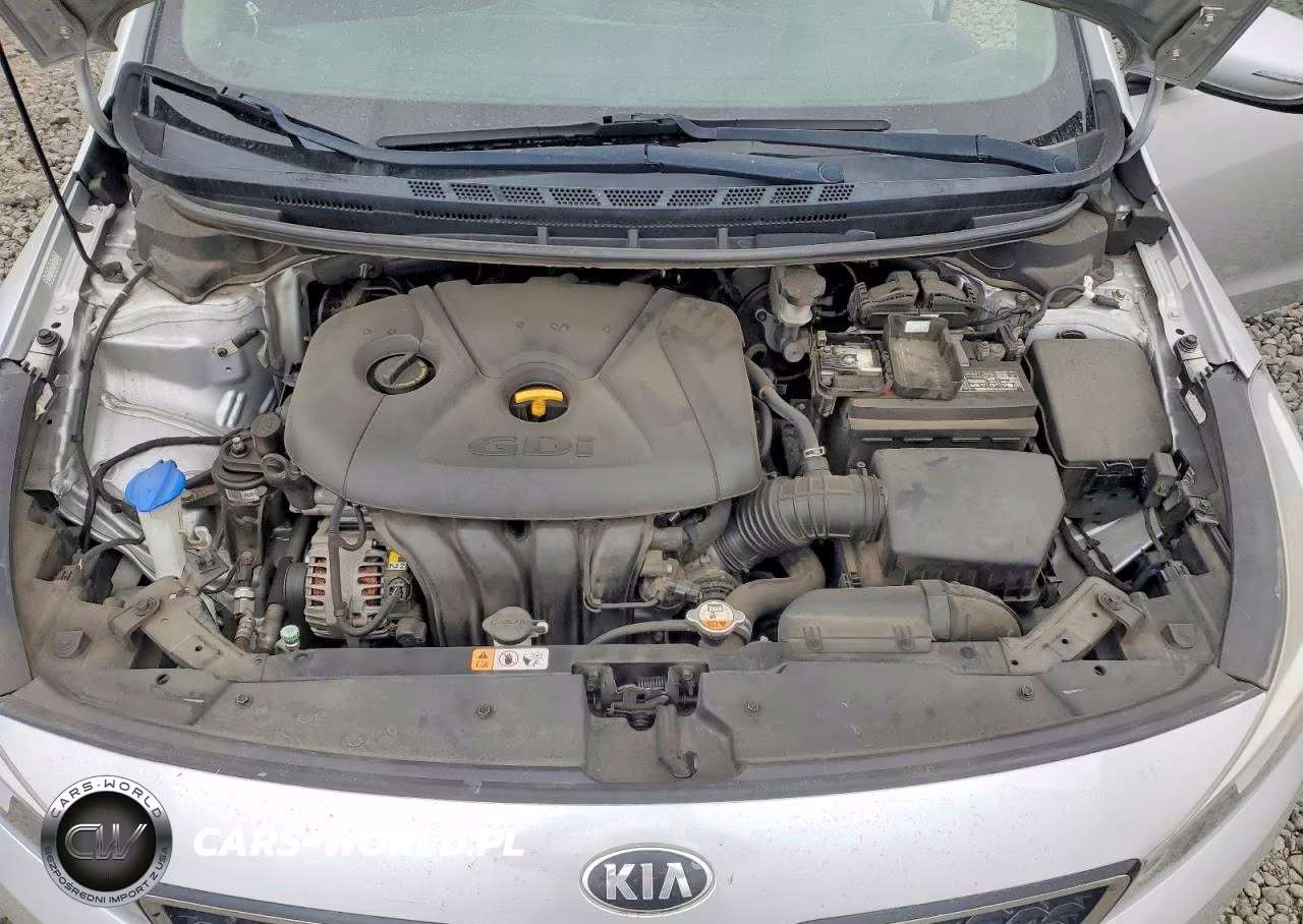 2018 Kia Forte5 Lx VIN:KNAFK5A85J5773831 - 11