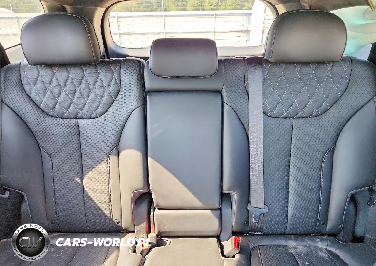2023 Hyundai Santa Fe Calligraphy VIN:5NMS54AL8PH494385 - 10