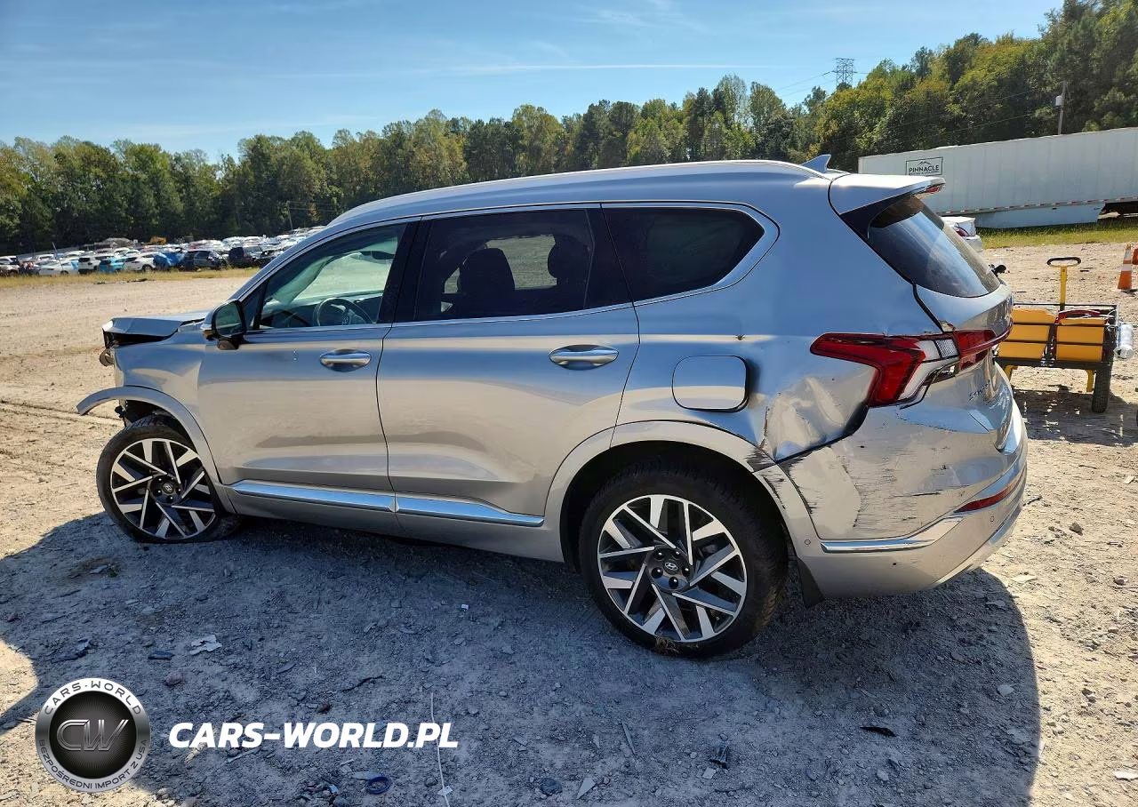 2023 Hyundai Santa Fe Calligraphy VIN:5NMS54AL8PH494385 - 2