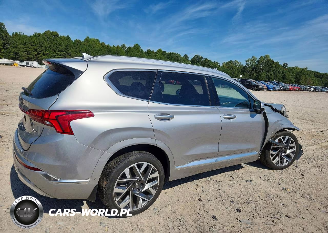 2023 Hyundai Santa Fe Calligraphy VIN:5NMS54AL8PH494385 - 3