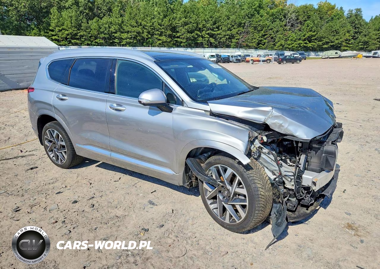 2023 Hyundai Santa Fe Calligraphy VIN:5NMS54AL8PH494385 - 4