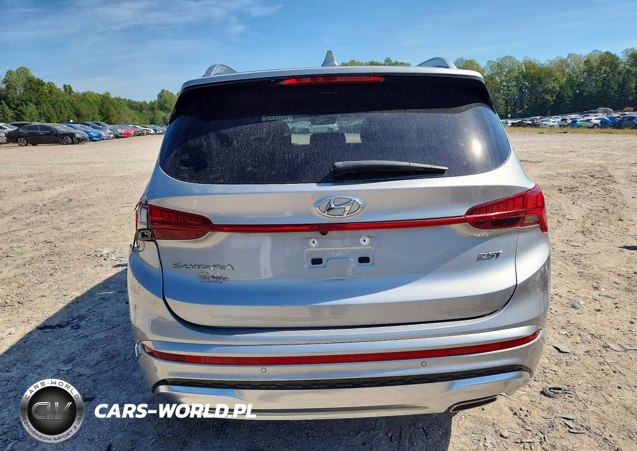 2023 Hyundai Santa Fe Calligraphy VIN:5NMS54AL8PH494385 - 6