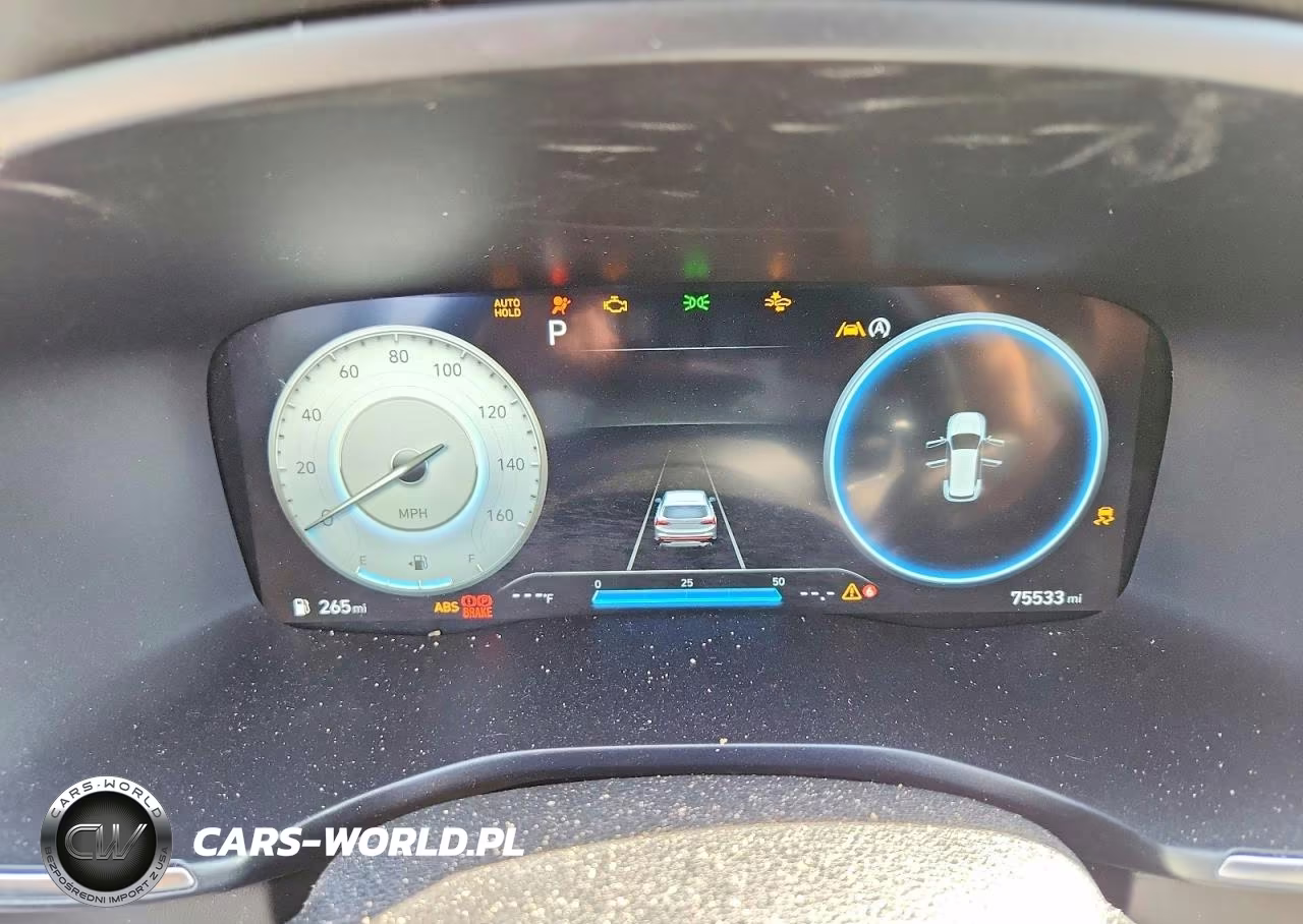 2023 Hyundai Santa Fe Calligraphy VIN:5NMS54AL8PH494385 - 9