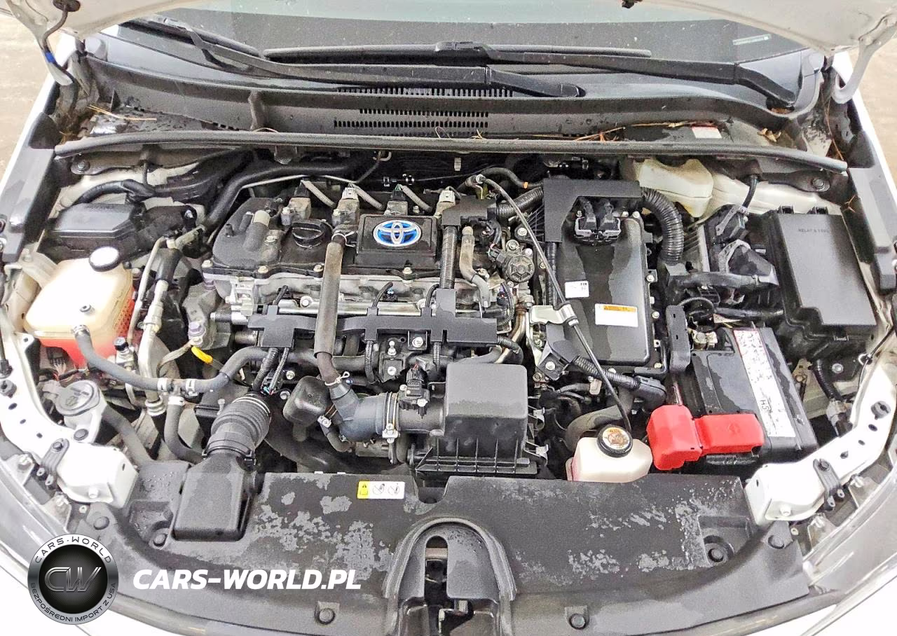 2020 Toyota Corolla Le VIN:JTDEBRBEXLJ030084 - 11