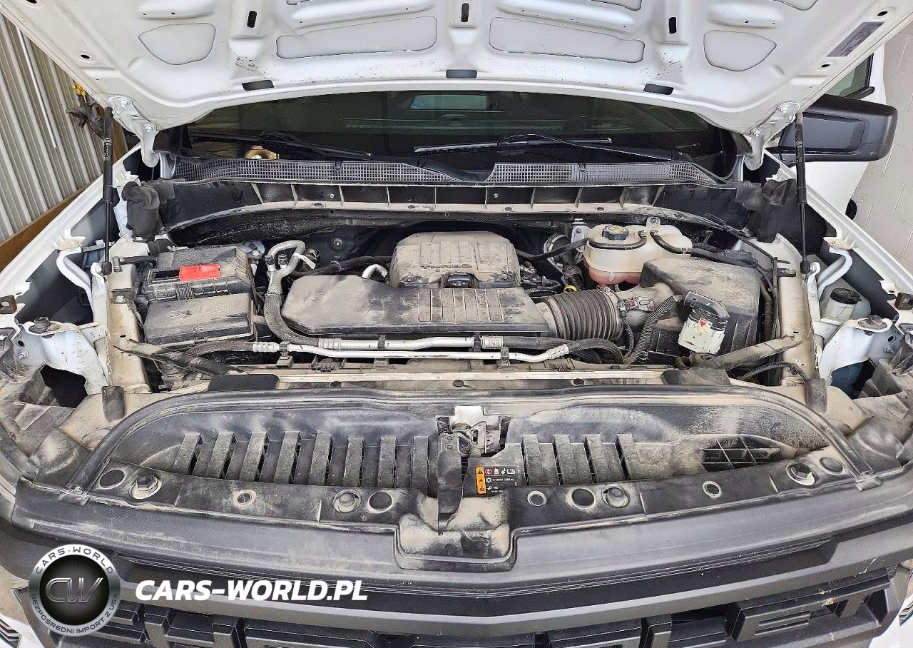 2023 Chevrolet Silverado C1500 VIN:3GCNAAEK5PG342665 - 11