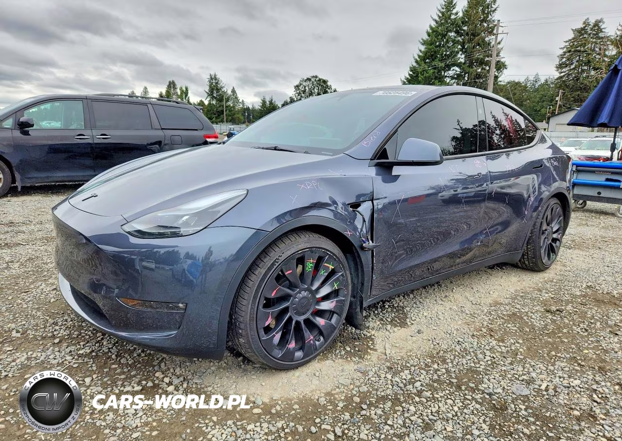 2023 Tesla Model Y