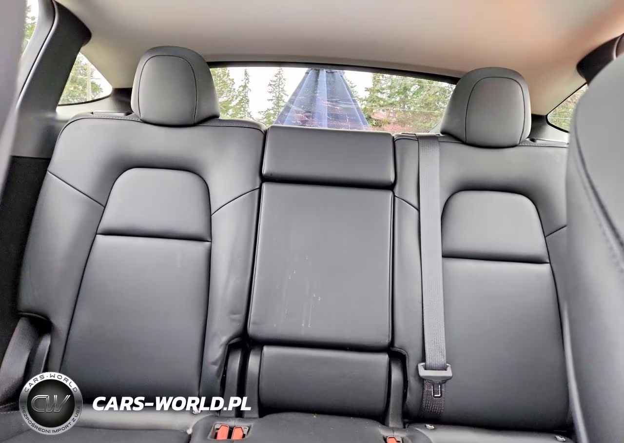2023 Tesla Model Y VIN:7SAYGDEF0PF883194 - 10