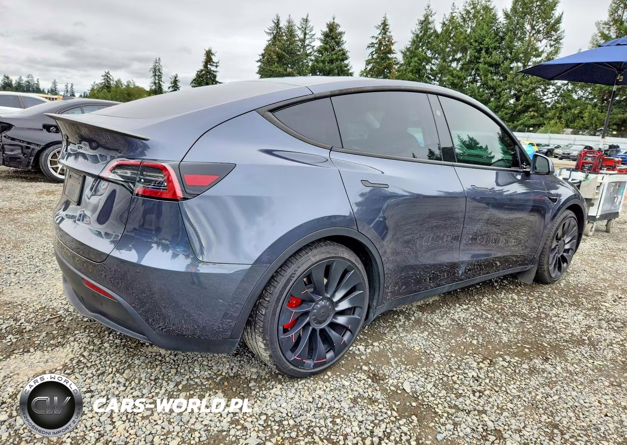 2023 Tesla Model Y VIN:7SAYGDEF0PF883194 - 3