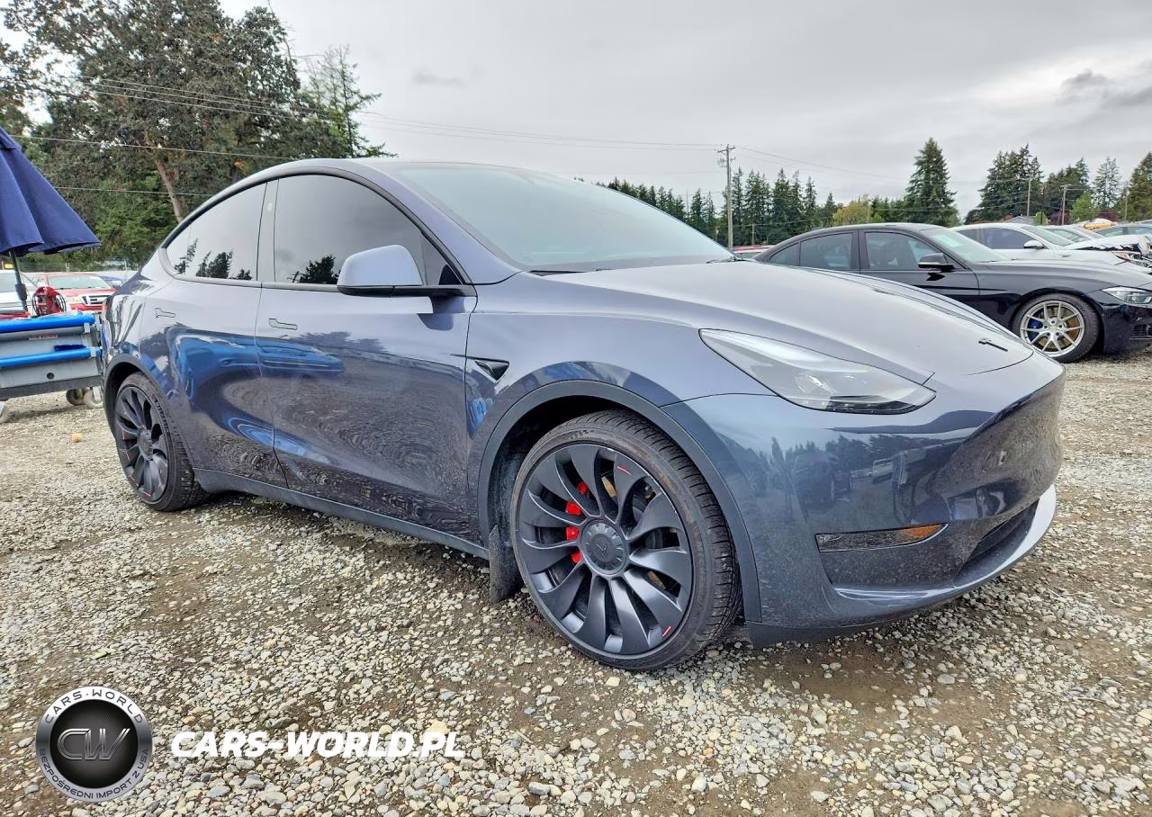 2023 Tesla Model Y VIN:7SAYGDEF0PF883194 - 4