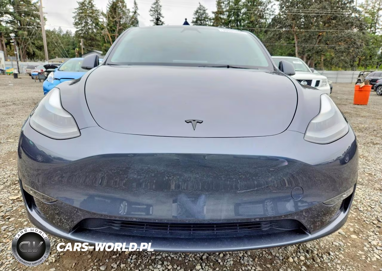 2023 Tesla Model Y VIN:7SAYGDEF0PF883194 - 5