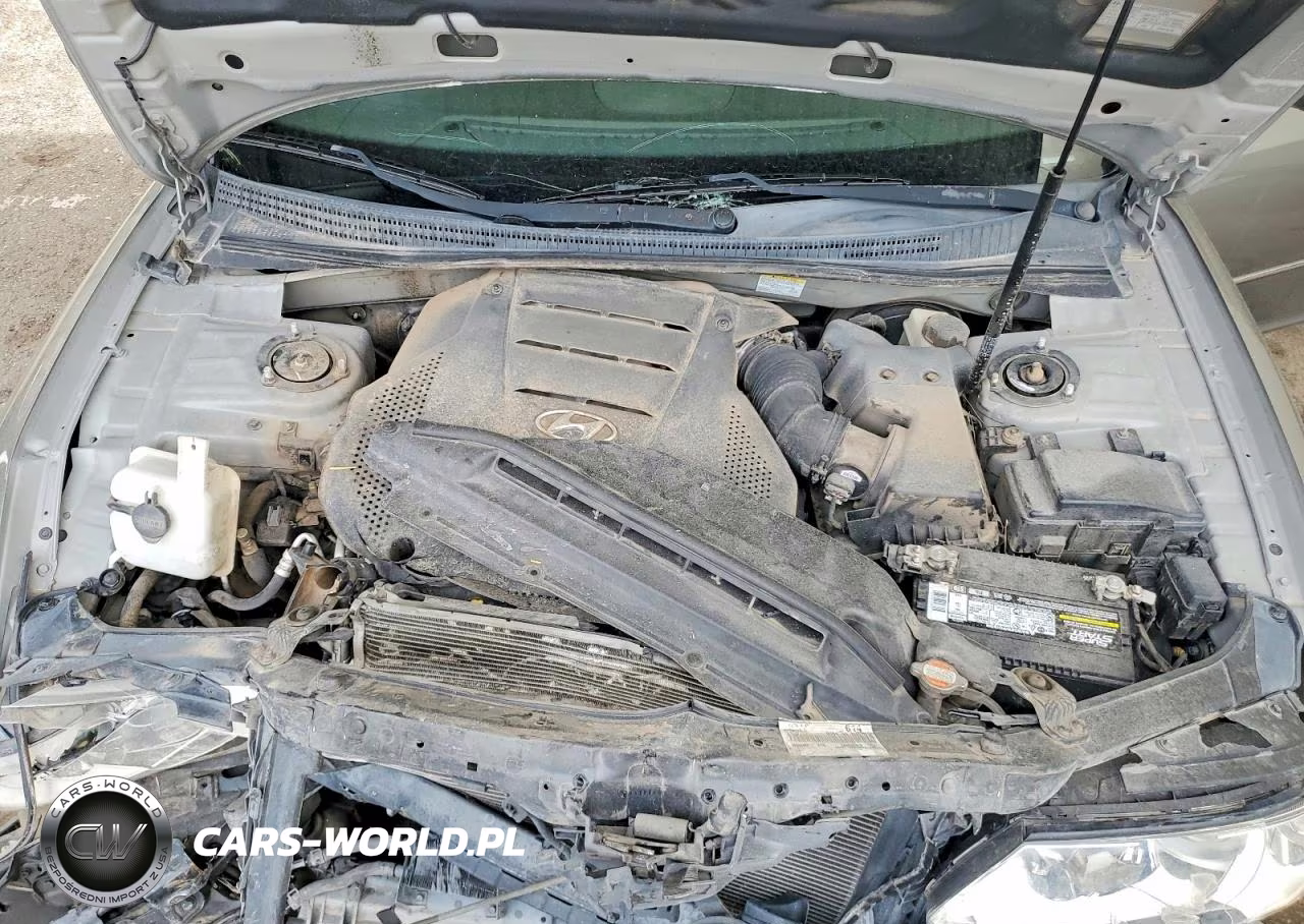 2009 Hyundai Azera Limited VIN:KMHFC46F69A356573 - 11