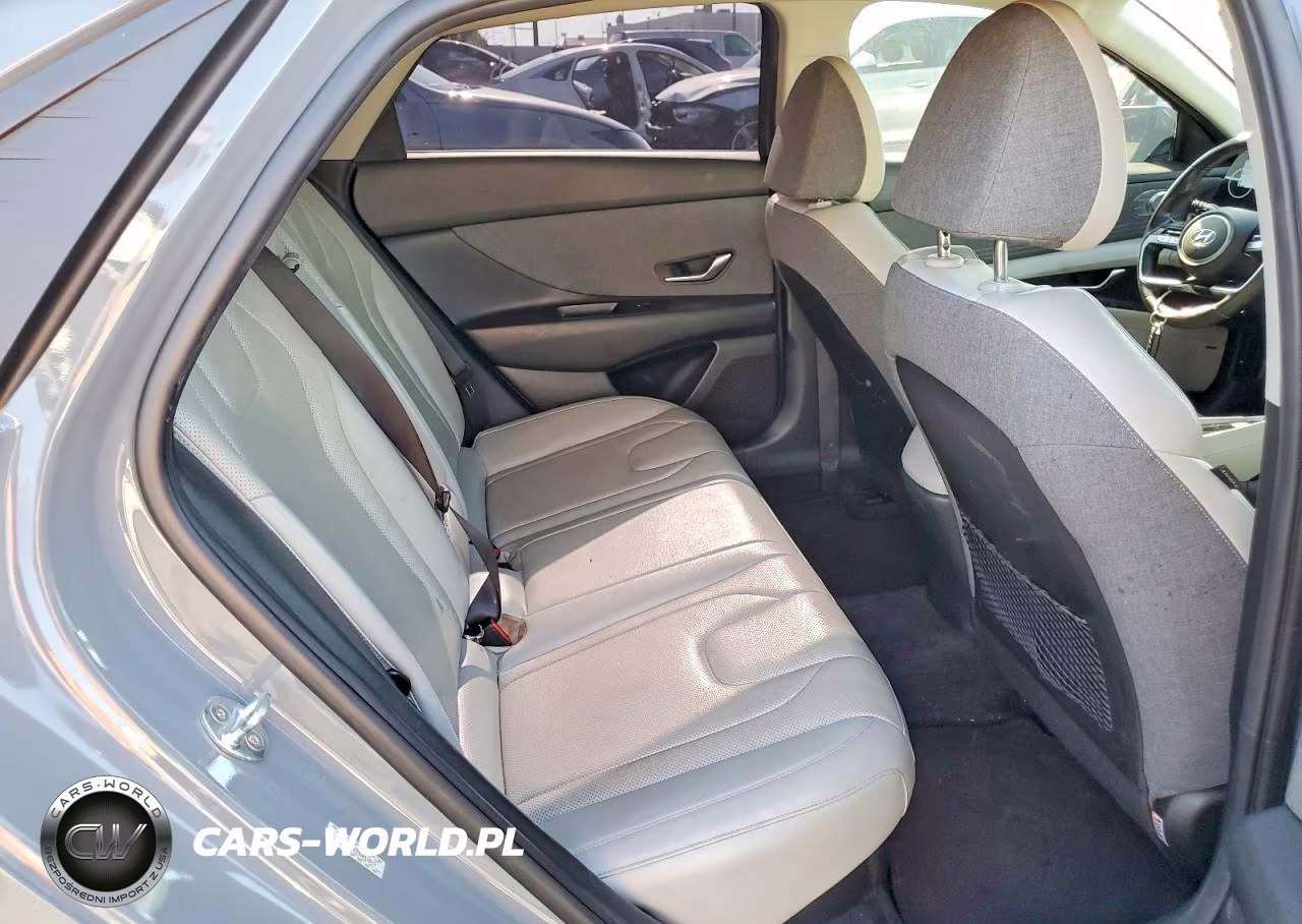 2021 Hyundai Elantra Limited VIN:KMHLN4AJ7MU011617 - 10