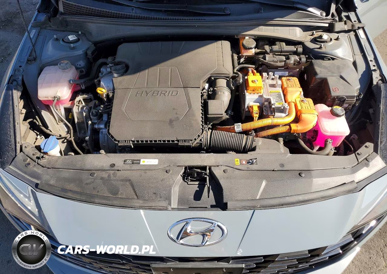2021 Hyundai Elantra Limited VIN:KMHLN4AJ7MU011617 - 11