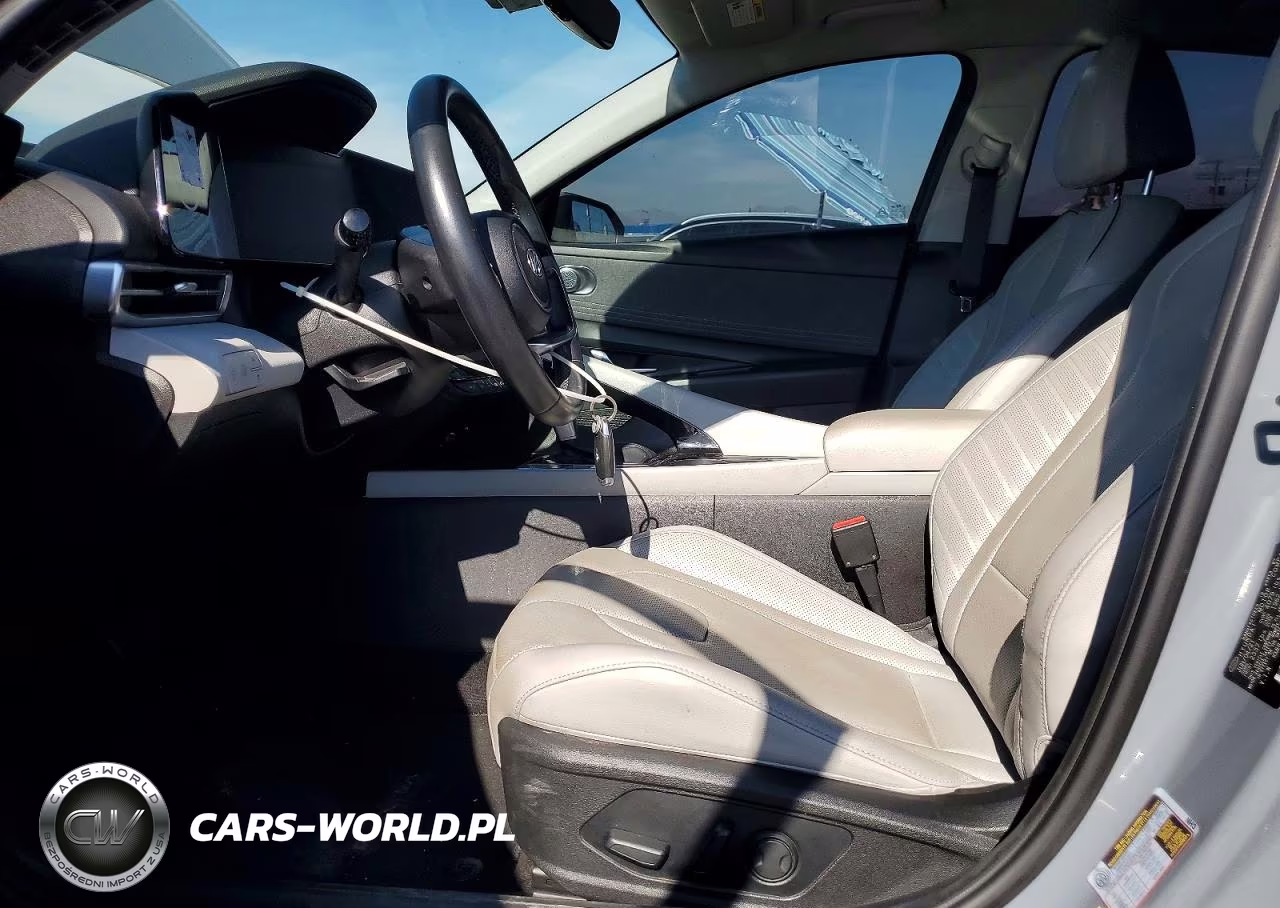 2021 Hyundai Elantra Limited VIN:KMHLN4AJ7MU011617 - 7