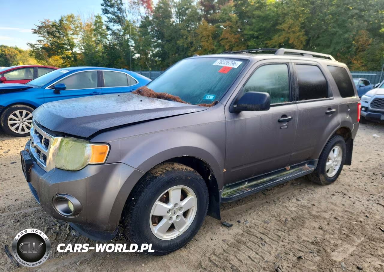 2010 Ford Escape Xlt VIN:1FMCU9DG8AKD15661 - 1