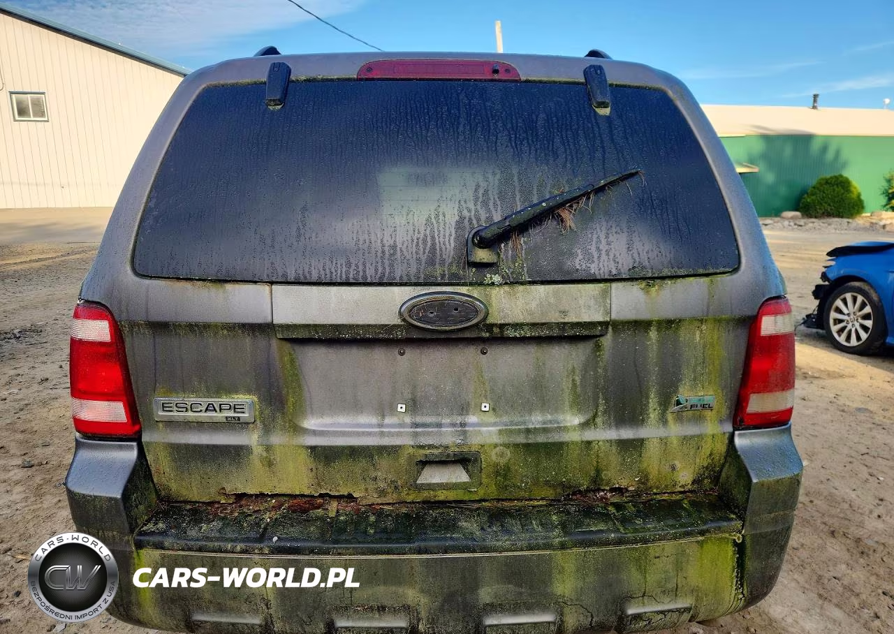 2010 Ford Escape Xlt VIN:1FMCU9DG8AKD15661 - 6