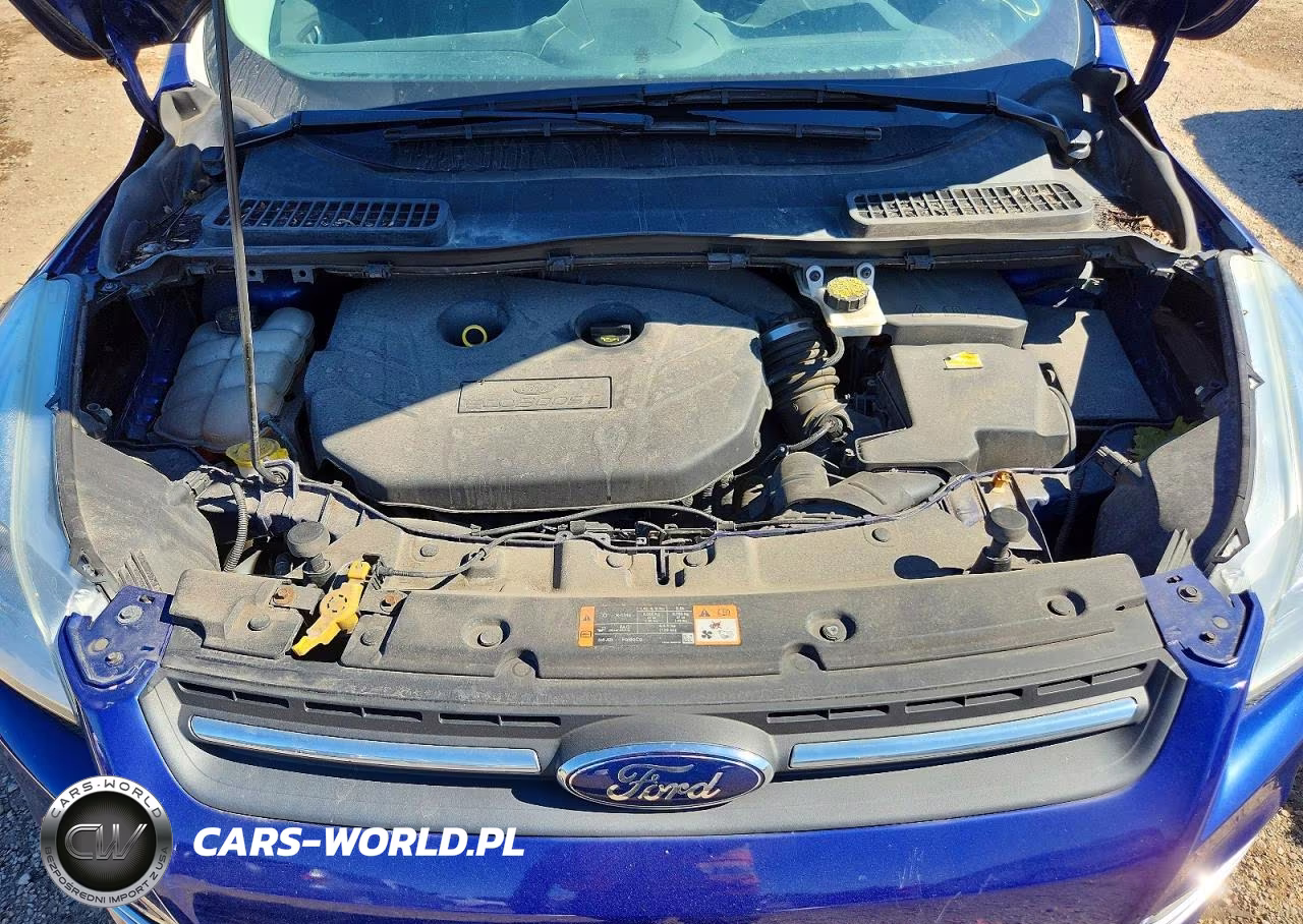 2016 Ford Escape Se VIN:1FMCU9G99GUC36705 - 11