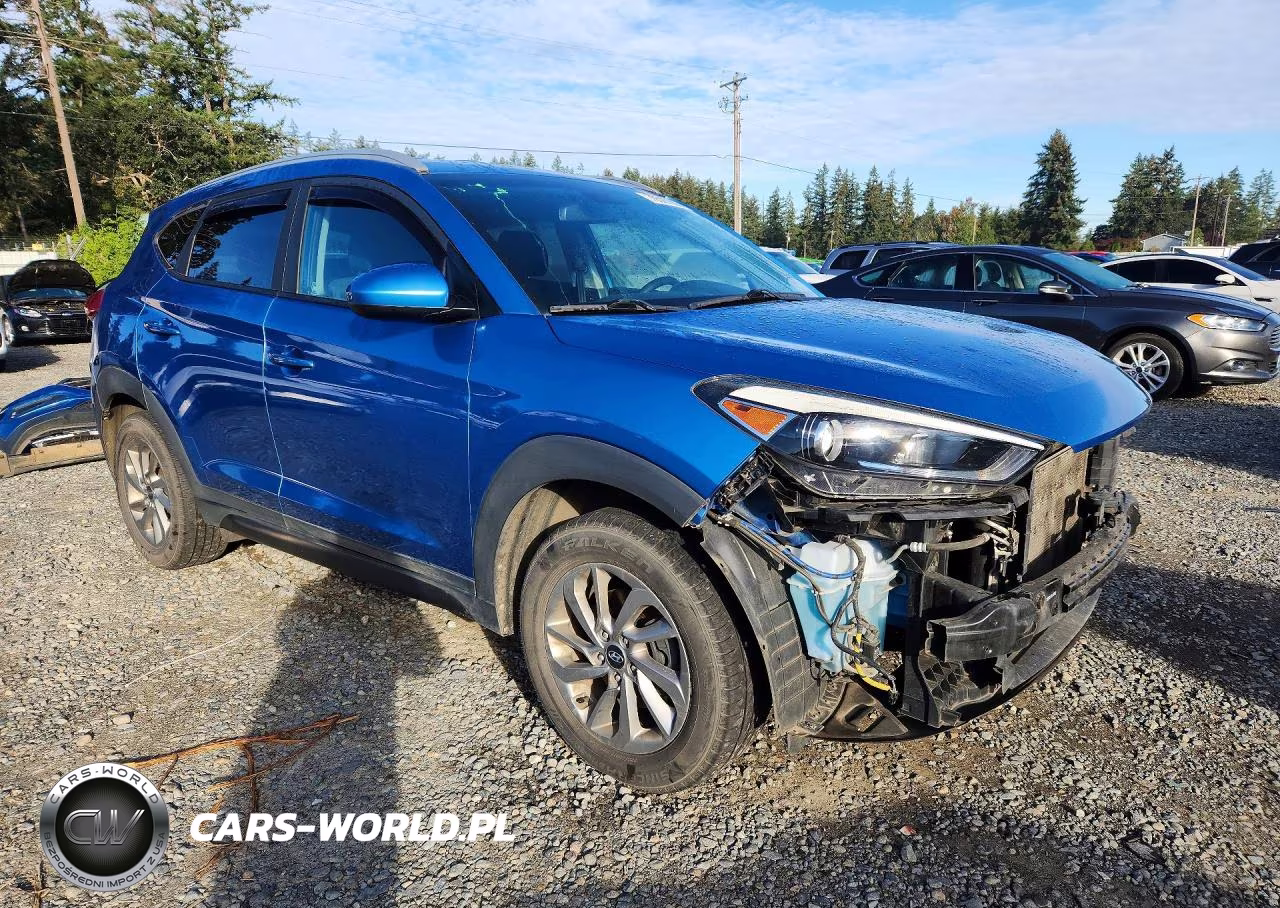 2016 Hyundai Tucson Se VIN:KM8J3CA40GU127800 - 4
